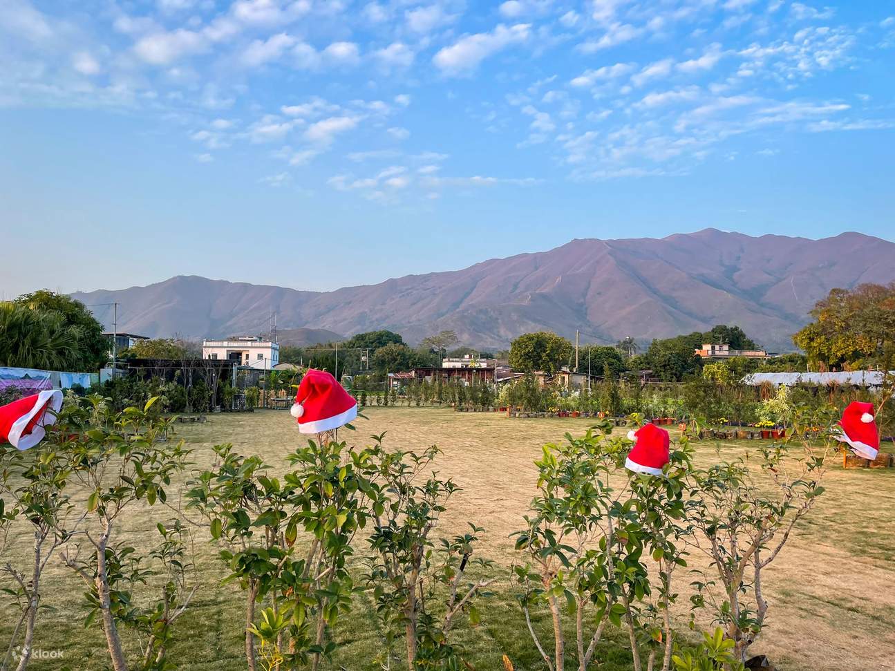 Da Jiangbu Luohan Garden